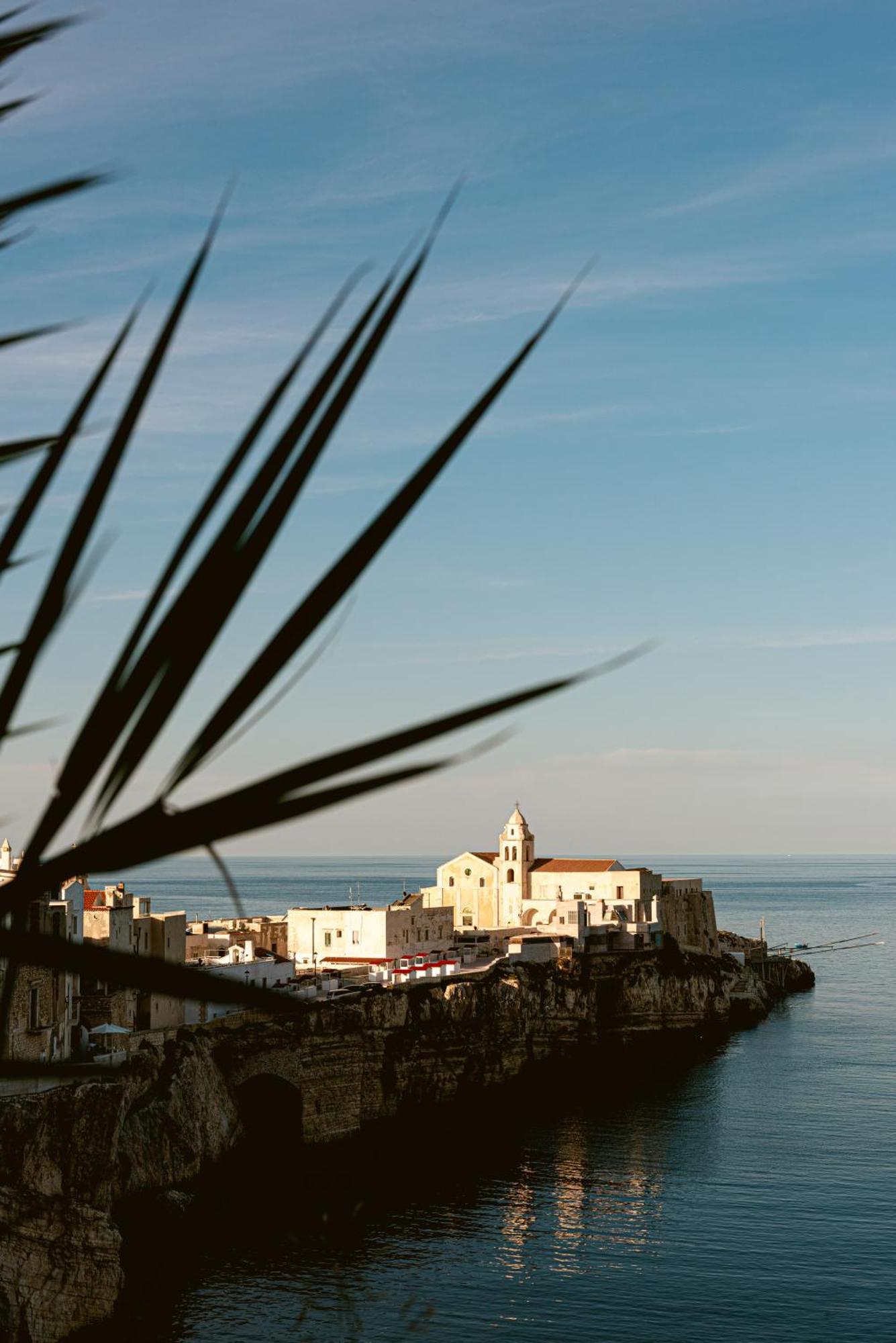 Hotel Degli Aranci Vieste Exterior foto